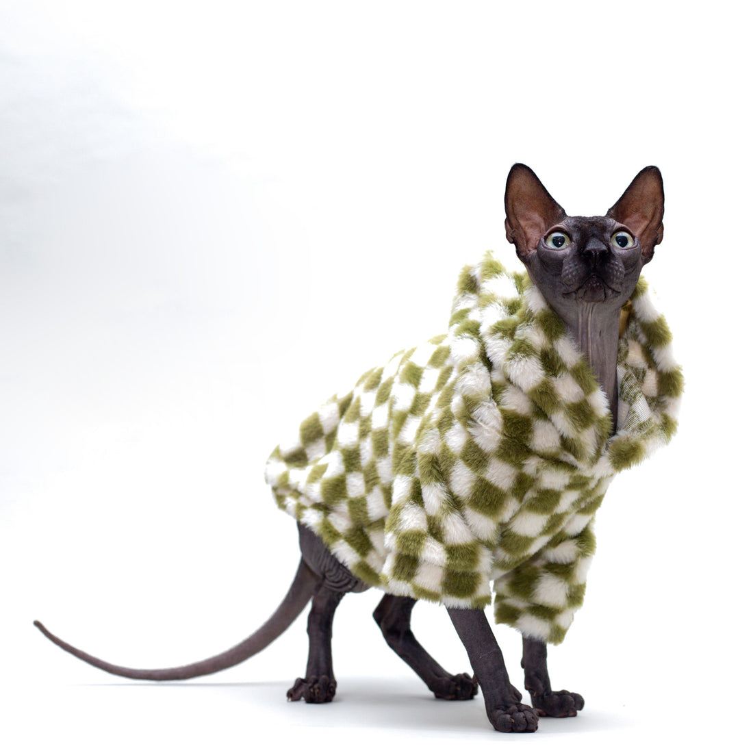  Sphynx Cat Tees & Sweaters