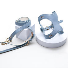  Pastel Leather Harness and Leash Set